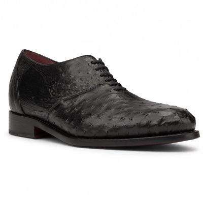 CMR CHAMARIPA Męskie Buty z Podwyższeniem | Czarne Oksfordy ze Skóry Strusia 7 CM