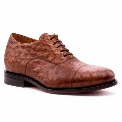 CMR CHAMARIPA Buty dla Niskich Mężczyzn | Brązowe Oksfordy ze Skóry Strusia 7 CM