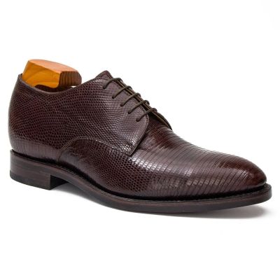 CMR CHAMARIPA Męskie buty podwyższające | Brązowe buty Derby ze skóry jaszczurki 7 CM